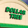 Dollar-tree-tiny