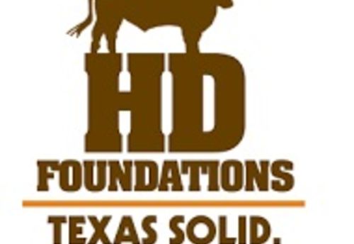 Hd-foundations-logo-wht-box