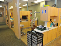 Knoxville_dentist_office-spotlisting